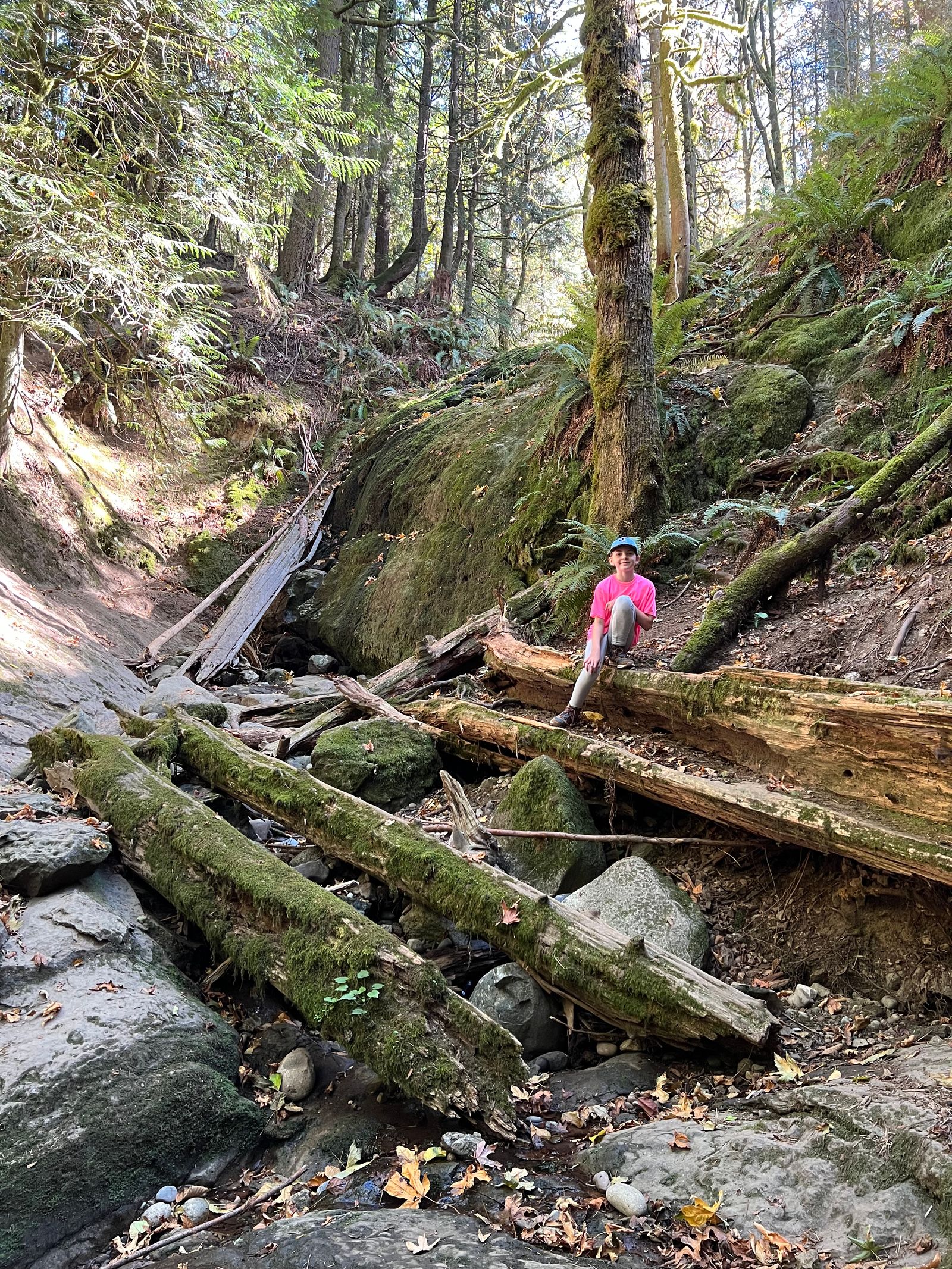 The Trail Ahead