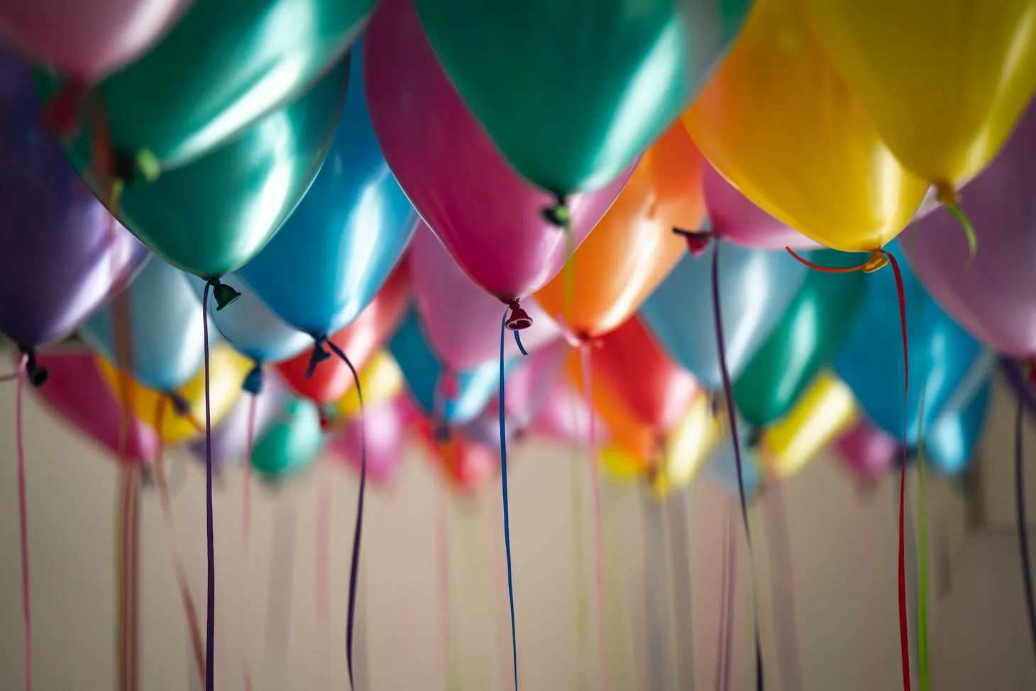 Day One - reBirthday